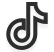 tiktok Flag